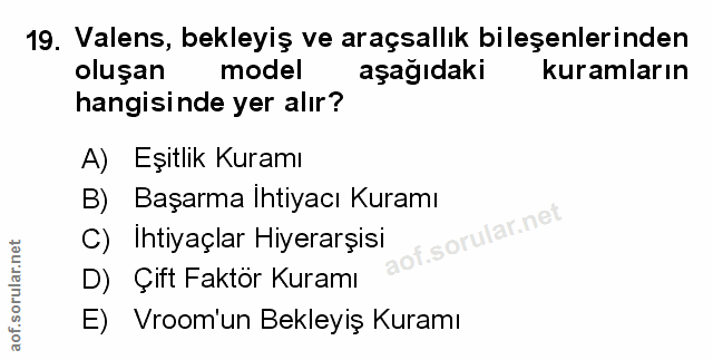 Soru 19