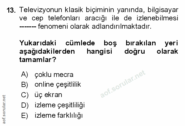 Soru 13