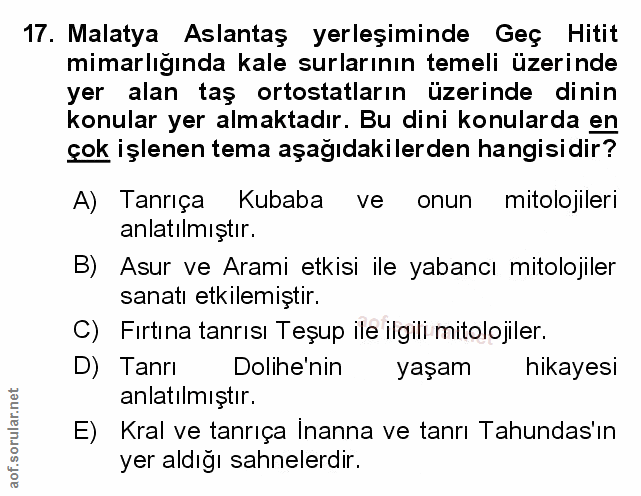 Soru 17