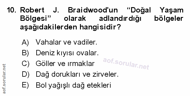 Soru 10