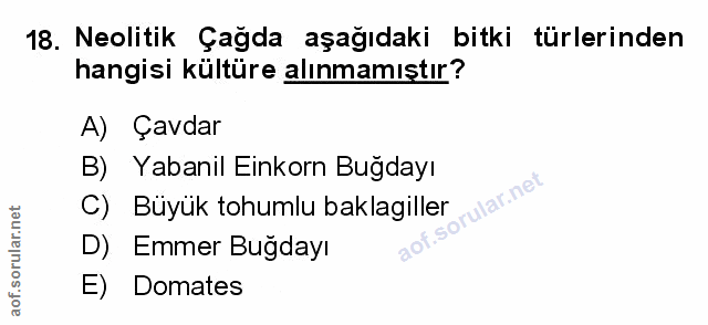 Soru 18