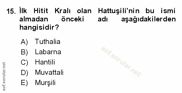 Soru 15