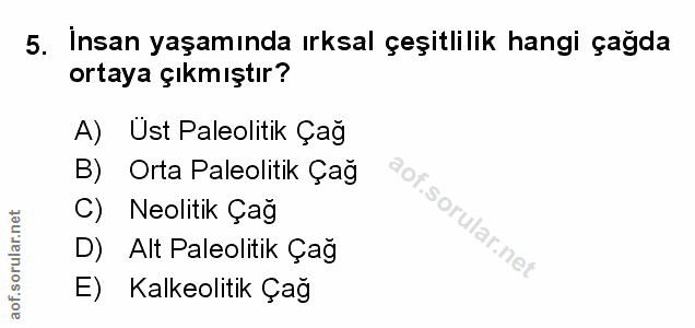 Soru 5