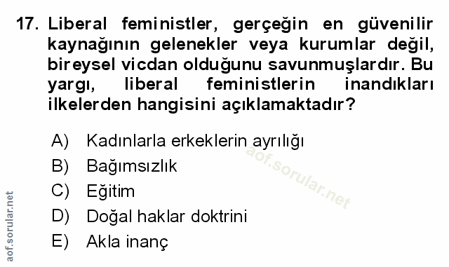 Soru 17