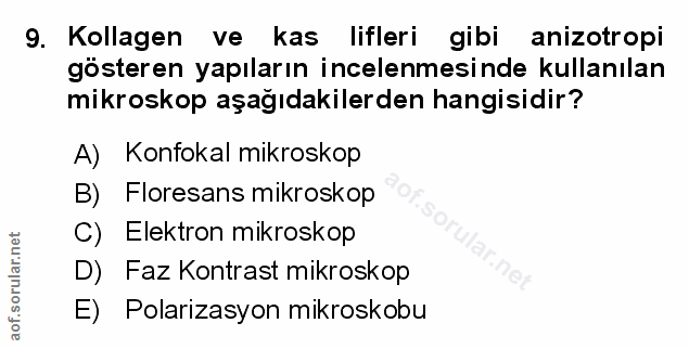 Soru 9
