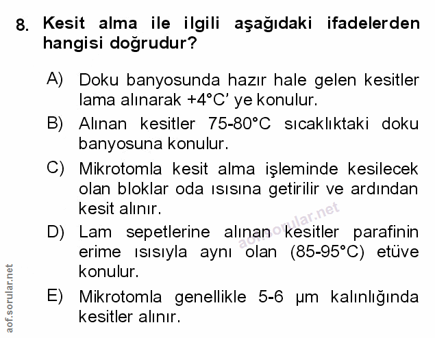 Soru 8