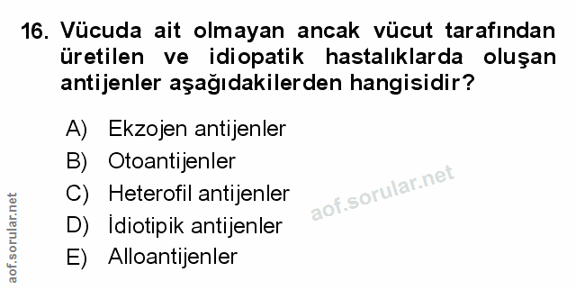 Soru 16