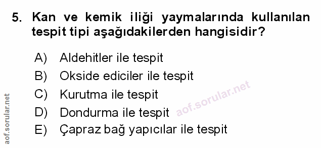 Soru 5