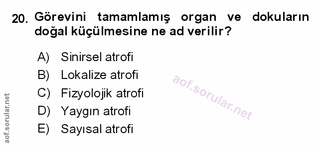 Soru 20