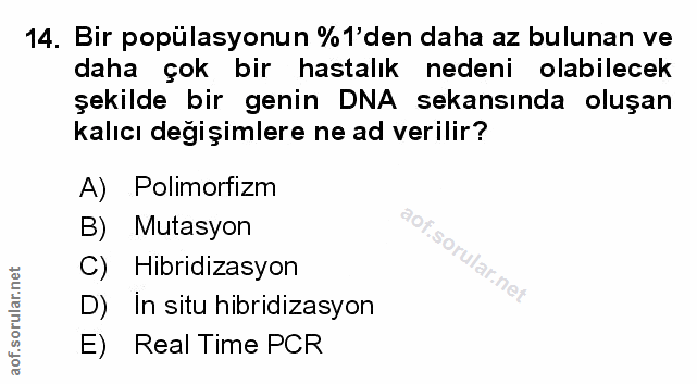 Soru 14