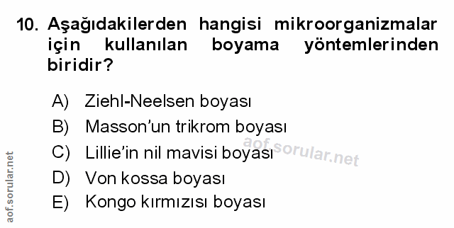 Soru 10