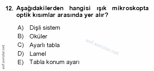 Soru 12