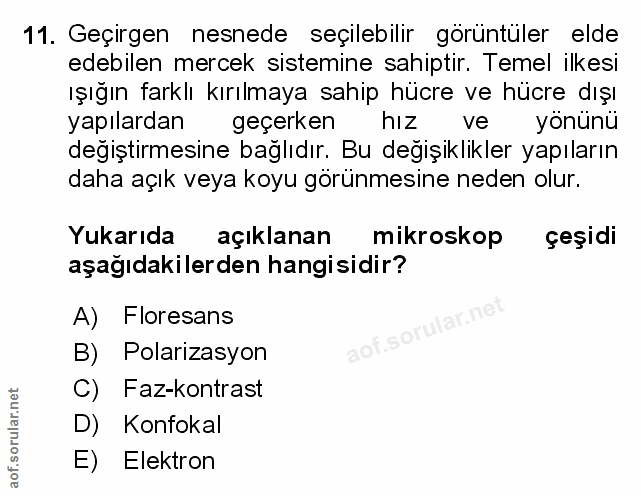 Soru 11