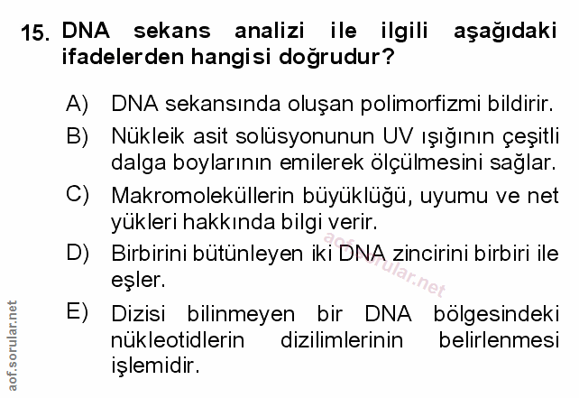 Soru 15