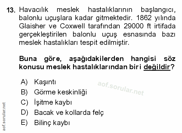 Soru 13