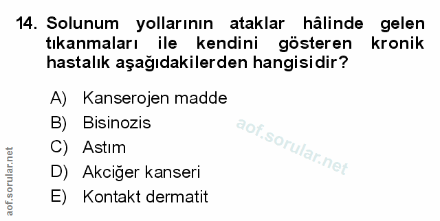 Soru 14