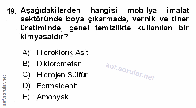 Soru 19