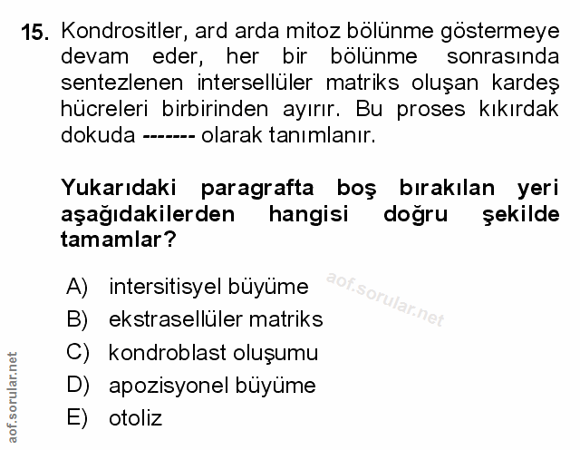 Soru 15