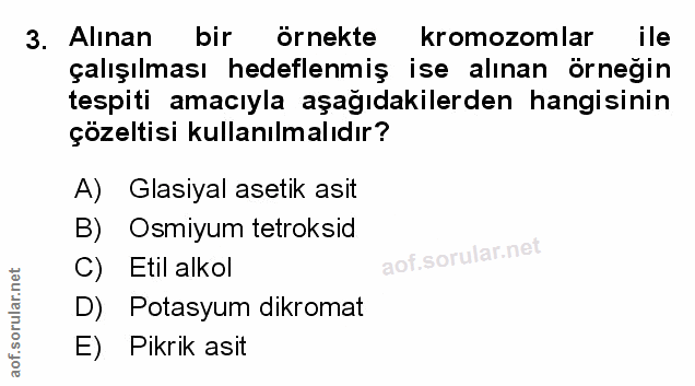 Soru 3
