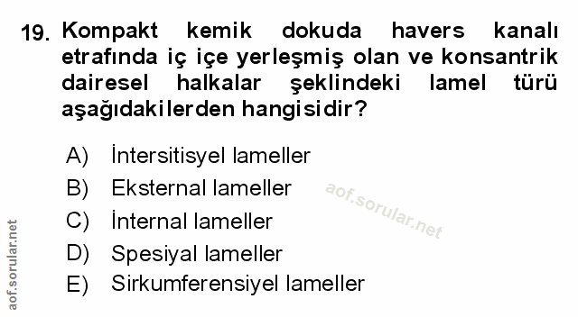 Soru 19