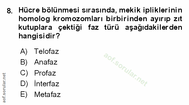 Soru 8