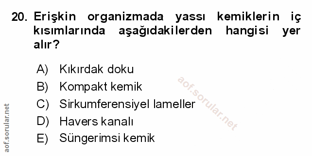 Soru 20