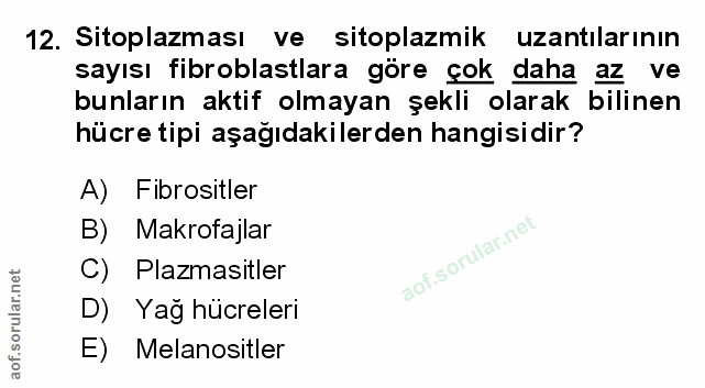 Soru 12