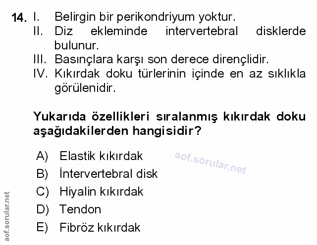 Soru 14