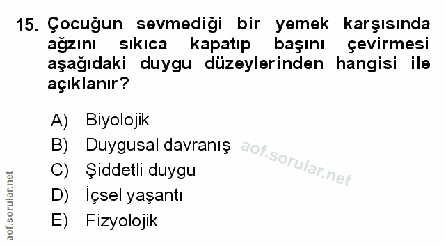Soru 15