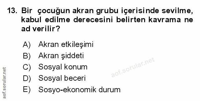 Soru 13