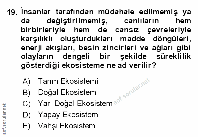 Soru 19