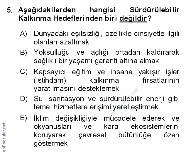 Soru 5