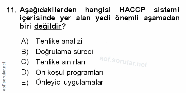 Soru 11