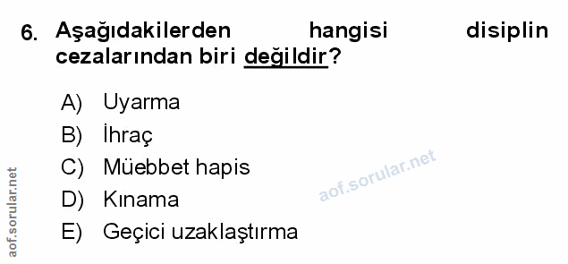 Soru 6
