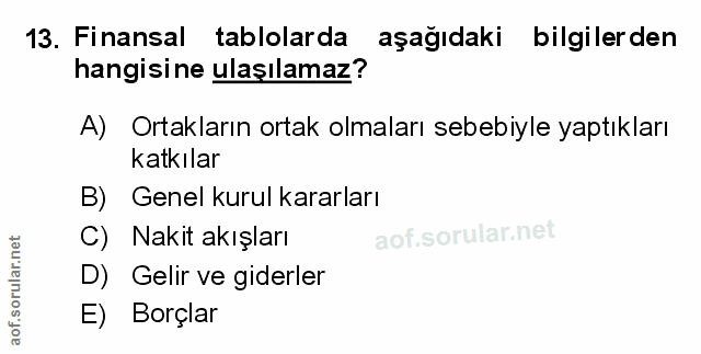 Soru 13