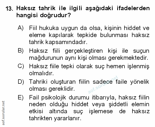 Soru 13