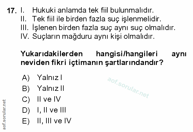 Soru 17