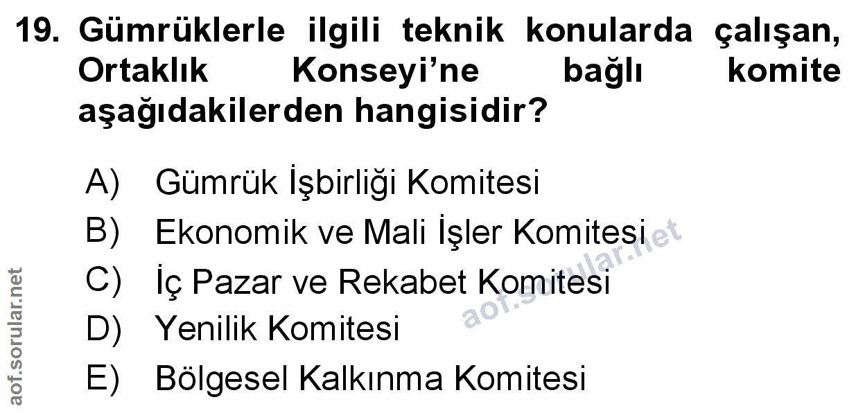 Soru 19