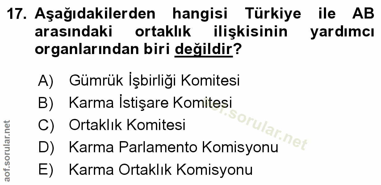 Soru 17
