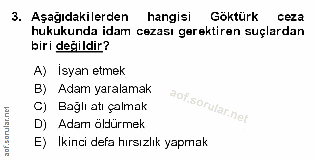 Soru 3