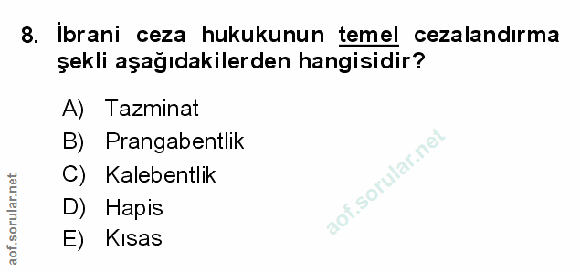 Soru 8