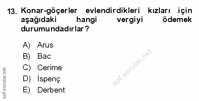 Soru 13