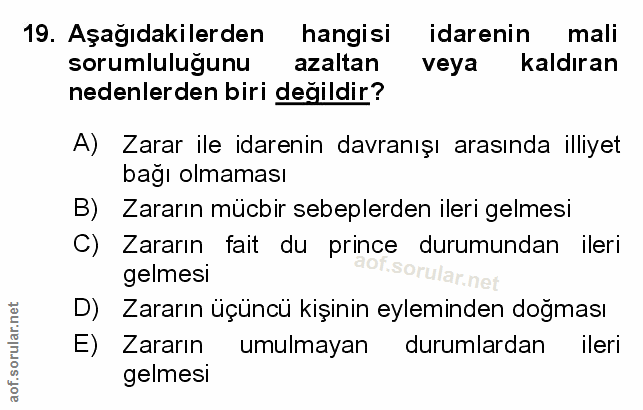 Soru 19
