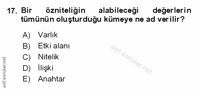 Soru 17