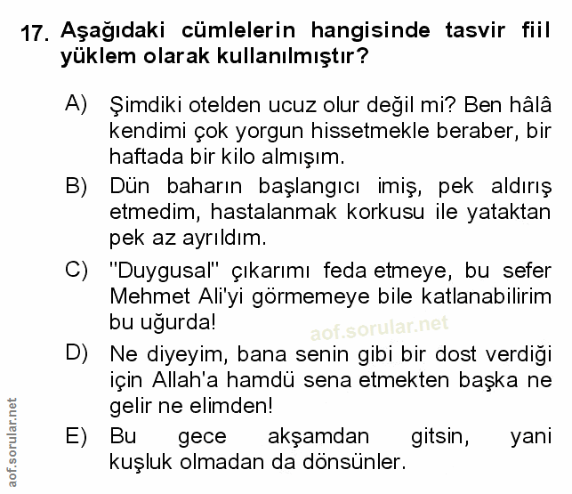 Soru 17