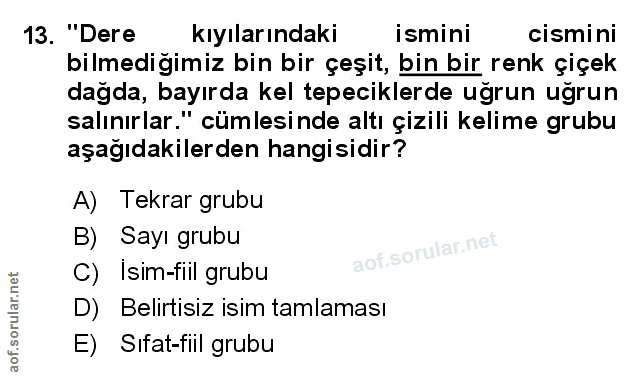 Soru 13