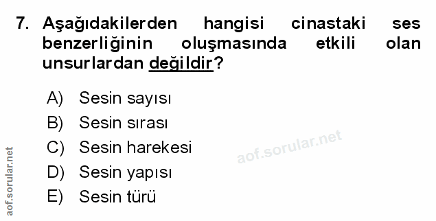 Soru 7