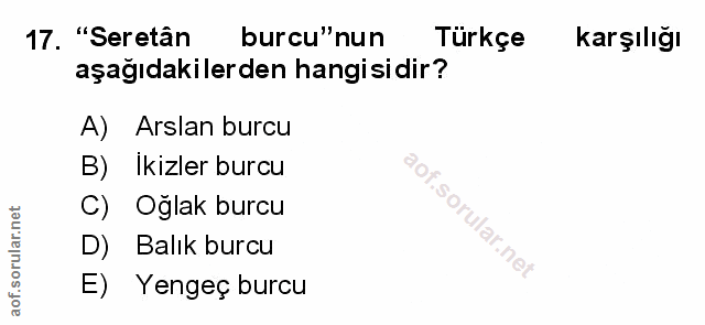 Soru 17