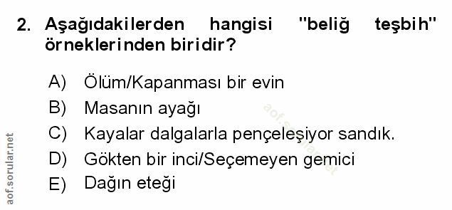 Soru 2