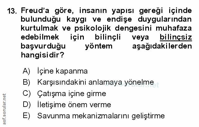 Soru 13
